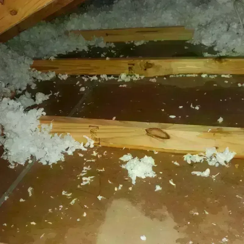 Attic Water Damage in Caddo Mills, TX